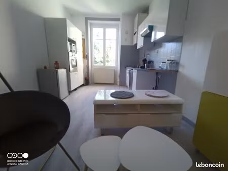 appartement meublé 3 pieces 60 m2  proche fauriel