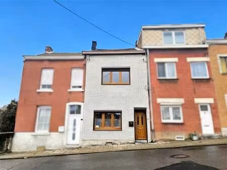 charmante maison 3 chambres à saint-nicolas