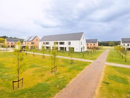 maison à vendre à meerhout € 316.000 (ljwe7) | zimmo