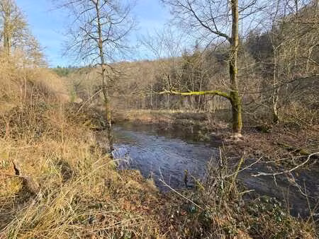 foret entre dohan et mortehan de 50 ares