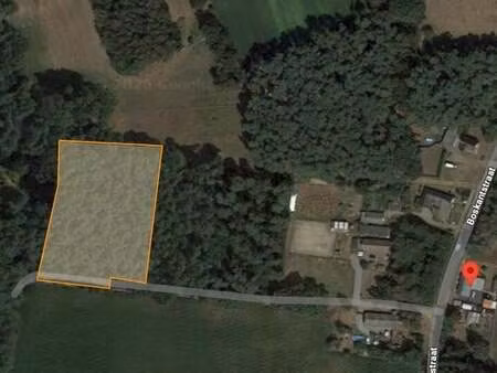 terrain à vendre à beverlo € 29.000 (ljlm1) - swevers real estate | zimmo