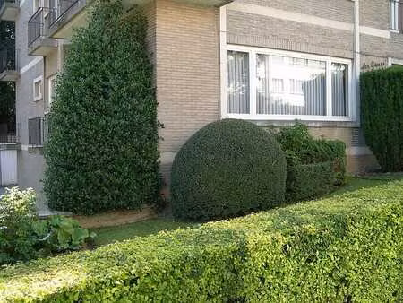 lumineux appartement 2 chambres au chant d'oiseau