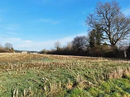 terrain à vendre à ohey € 89.830 (ljwou) - comptoir foncier | zimmo