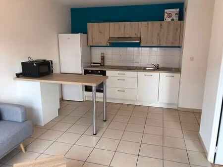 location appartement 2 pièces 41 m² à villeurbanne (69100)