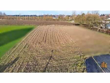 beau terrain plat / vue dégagée / 8 43a / à bâtir