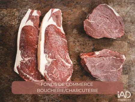 vente commerce 60 m² cognin (73160)