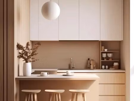 très bel appartement parisien de 2 pièces.