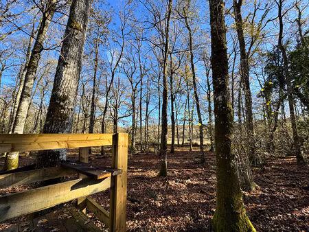 domaine de chasse langeais