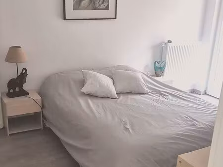 appartement cocon 45m2 neuf meublé avec jardin