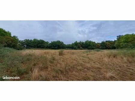 ? a louer champ  pré  prairie ?