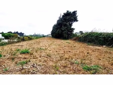 vente terrain jonquerettes (84450)