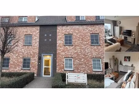 appartement à louer à oostmalsesteenweg 83 rijkevorsel (rbv07527)