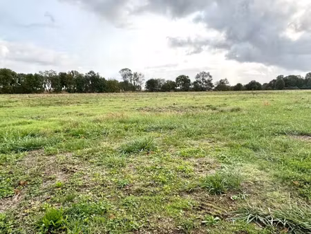 vente terrain 325 m² à saint-georges-du-bois (17700)  43 900 €