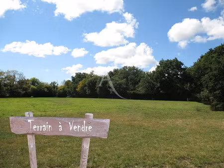 vente terrain 835 m² à noyant-villages (49390)  14 900 €