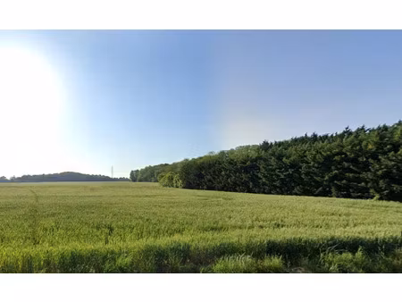 vente terrain 360 m² à lignières-de-touraine (37130)  46 500 €