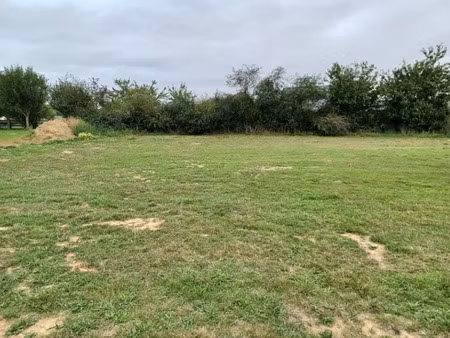 vente terrain 544 m² à sillé-le-guillaume (72140)  19 986 €