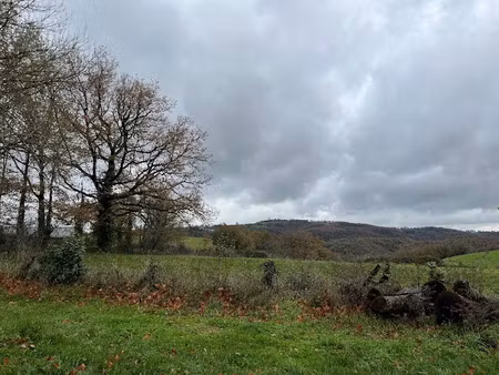 vente terrain 500 m² à pampelonne (81190)  18 000 €