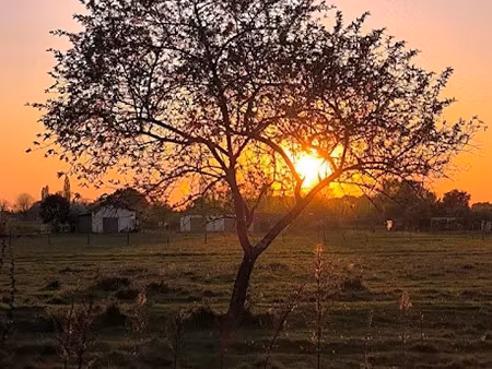 vente terrain 550 m² à sablons (33910)  55 000 €