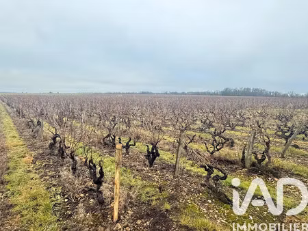 vente terrain 24342 m² à vernou-sur-brenne (37210)  64 000 €