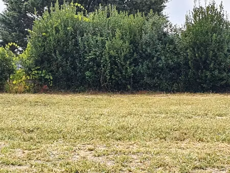 vente terrain 550 m² à samonac (33710)  49 500 €