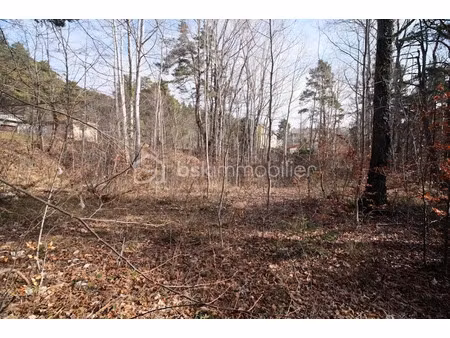 vente terrain 1370 m² à andon (06750)  78 000 €