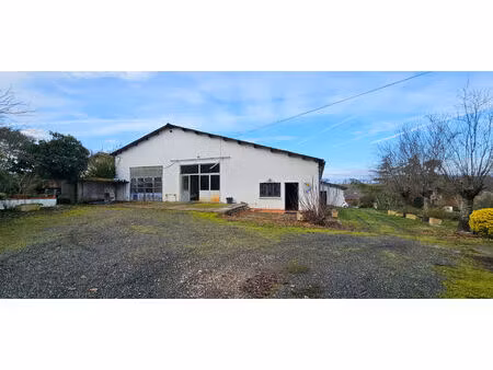 vente local d'activité  540.00m²  montpitol