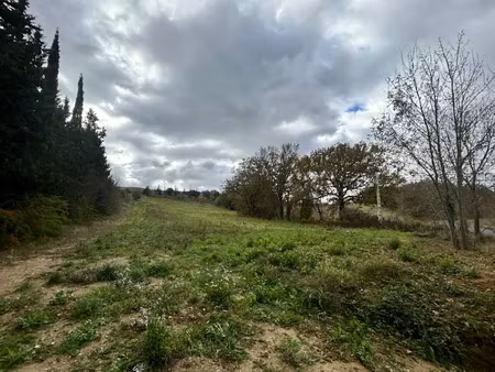 vente terrain 4481 m² à la digne-d'aval (11300)  85 500 €