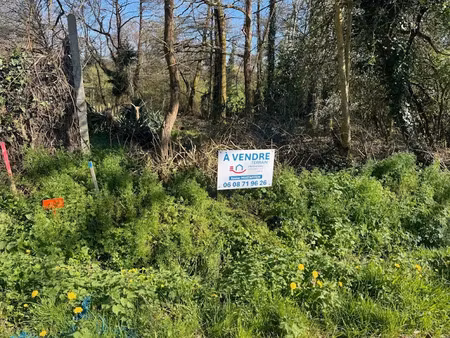 vente terrain 1205 m² à saint-georges-de-pointindoux (85150)  90 800 €