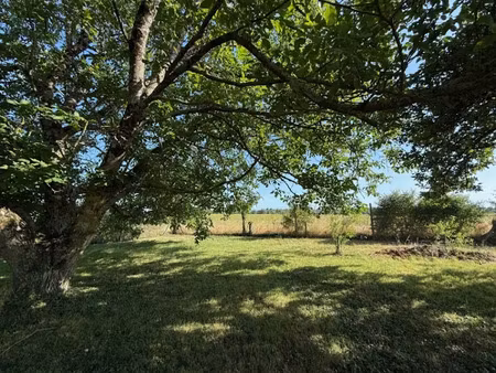 vente terrain 965 m² à monts (37260)  95 000 €