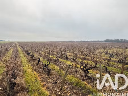 vente terrain 39692 m² à vernou-sur-brenne (37210)  97 580 €