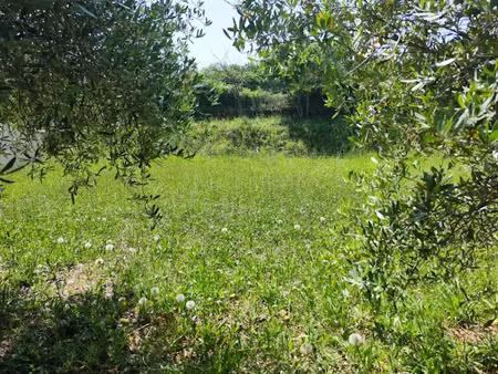 vente terrain 490 m² à brignoles (83170)  135 000 €