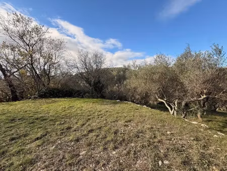 vente terrain 1005 m² à carnoules (83660)  135 000 €