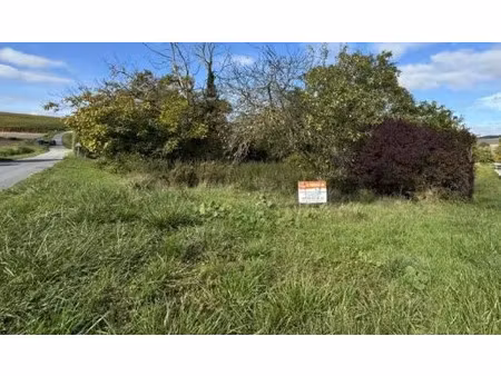vente terrain à batir 1050 m² à chaumuzy (51170)  137 000 €