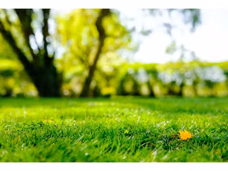 vente terrain 350 m² à porcheville (78440)  150 000 €