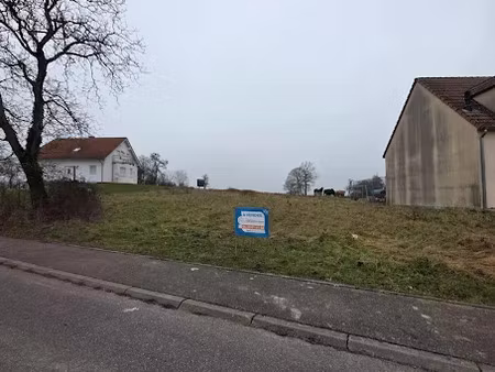 vente terrain 4187 m² à saint-françois-lacroix (57320)  157 500 €