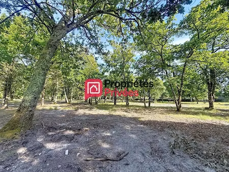 vente terrain 683 m² à hourtin (33990)  220 000 €