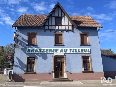 vente locaux professionnels 250 m² à artolsheim (67390)  126 000 €