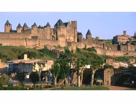 vente locaux professionnels 32.27 m² à carcassonne (11000)  140 000 €