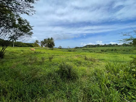 terrain à vendre à petit bourg - référence 21309