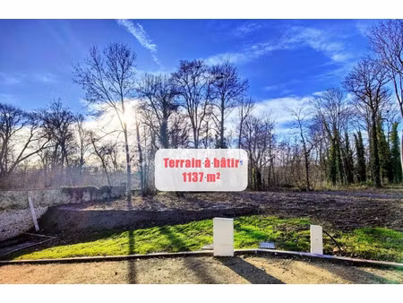 vente terrain 1137 m² à montfort-l'amaury (78490)  419 000 €