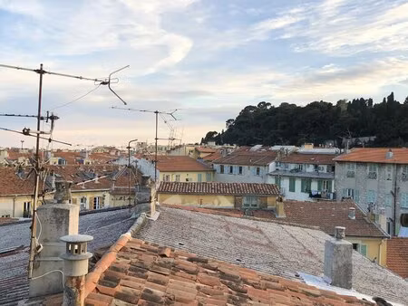 2 pieces - garibaldi