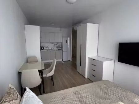 location meublée appartement 2 pièces 29 m² à lyon 7ème (69007)  490 €