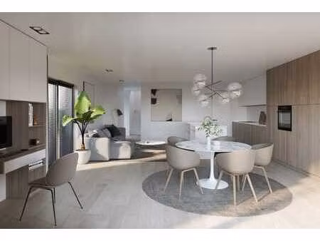 maison neuve semi-ouverte avec 4 chambres à lokeren
