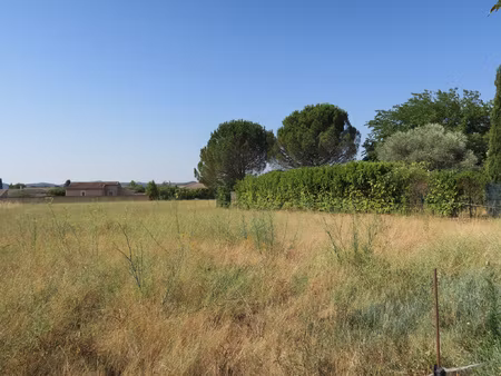 terrain propice à votre projet de construction (1319 m2)