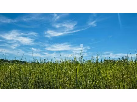 vannes est - terrain constructible d'environ 1630 m²