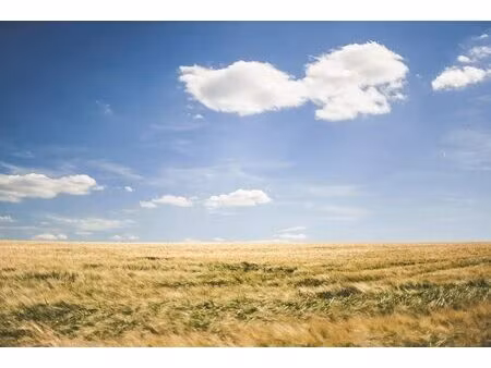 vannes est - terrain constructible d'environ 3600m²