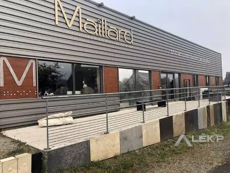 vente bureaux et commerces à saint-pierre-de-plesguen (35720) : à vendre / 520m² saint-pie