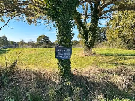 vente terrain à saint-lyphard (44410) : à vendre / 1338m² saint-lyphard