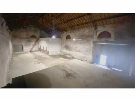 location locaux professionnels 321 m² à lunel (34400)  1 700 €