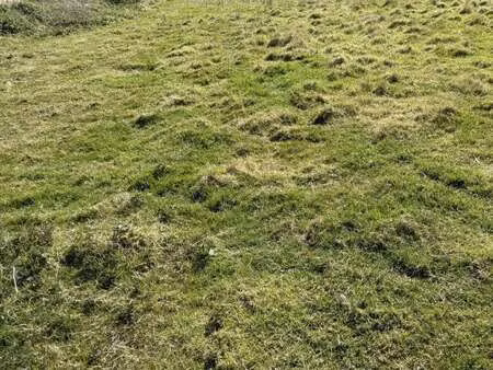 vente terrain à pléneuf-val-andré (22370) : à vendre / 278m² pléneuf-val-andré